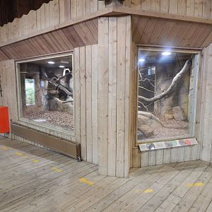 Kingdom of the Wild - Central African rock python exhibit 110925