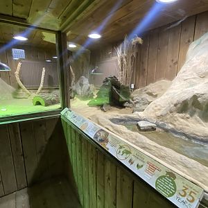 Kingdom of the Wild - Desert exhibit 110925