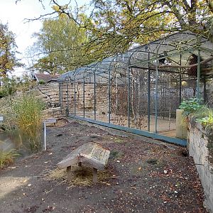 Black-tailed prairie dog exhibit
