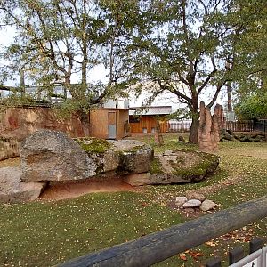 Red-necked wallaby exhibit