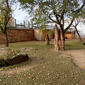 Red-necked wallaby exhibit