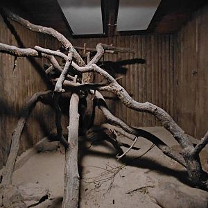 Woylie + common brushtail possum exhibit