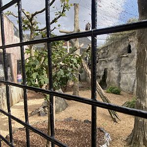 Edge of Africa - Vulture aviary 110925