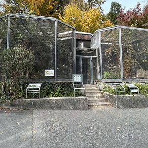 Various Aviaries