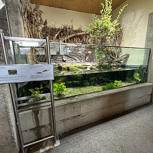 Outdoor Freshwater Aquariums