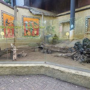 Kingdom of the Wild - outdoor Aardvark enclosure 110925