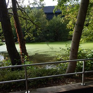 Smaller lake/pond 110925