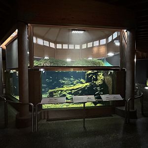 Aquarium
