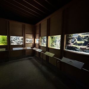 Various Aquariums