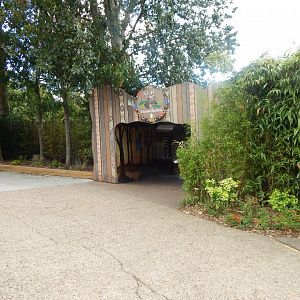 Island Dwellers 110925