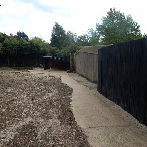 Island Dwellers - Visayan spotted deer enclosure 110925