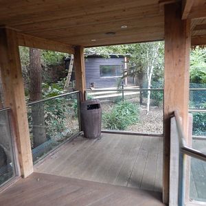 Bush dog enclosure 110925