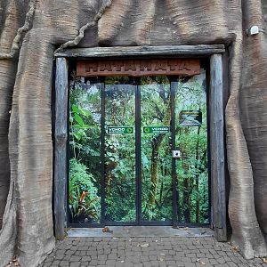 Matamata house - entrance