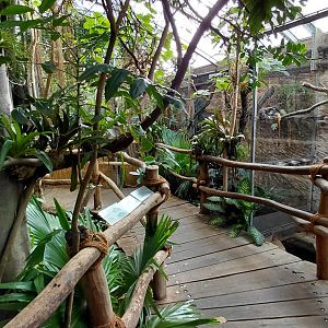 Inside the Matamata house