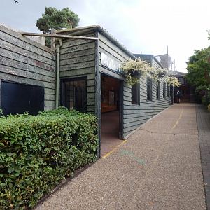 Call of the Wild - Eurasian wolf viewing area 110925