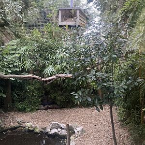 World of Wings - Eurasian great grey owl aviary 110925