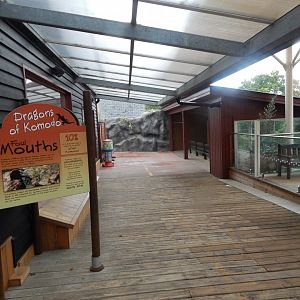 Dragons of Komodo 110925