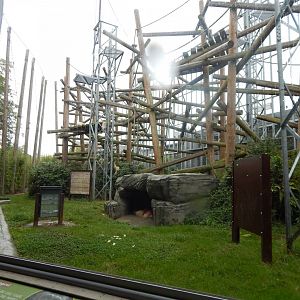 Chimpanzee exhibit 110925