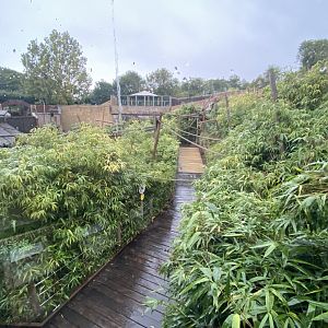 Lemur Walkthrough 110925