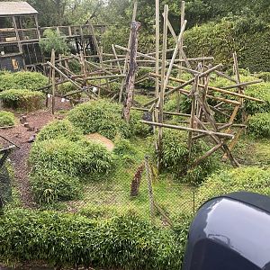 Lemur Walkthrough 110925