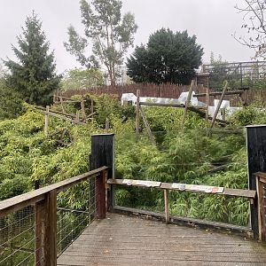 Binturong and Asian small-clawed otter enclosure 110925