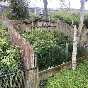 Binturong enclosure 110925