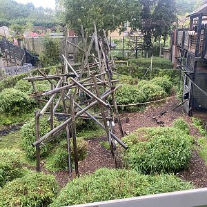 Lemur Walkthrough 110925