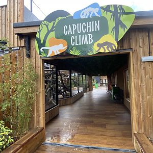 Capuchin Climb 110925