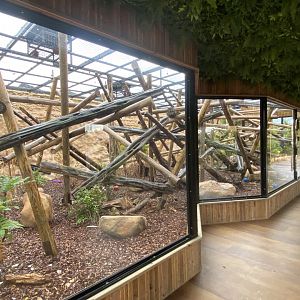 Yellow-breasted capuchin enclosure 110925