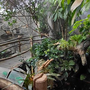 Matamata - turtle pond