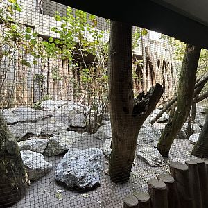 Black Woodpecker Aviary