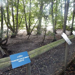 Giant anteater and Patagonian mara enclosure 130925