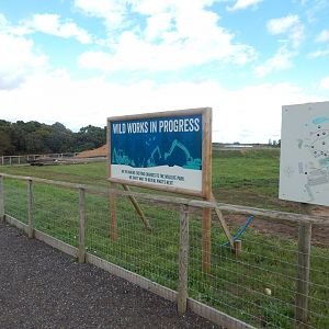 Future development 130925