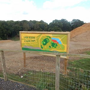 Future development 130925