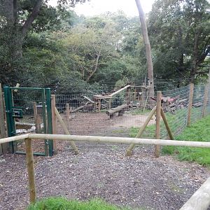 Arctic fox enclosure 130925