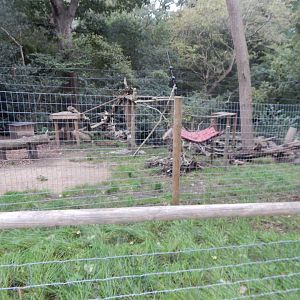 Arctic fox enclosure 130925