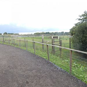Polar bear enclosure 130925