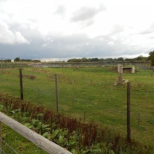 Polar bear enclosure 130925