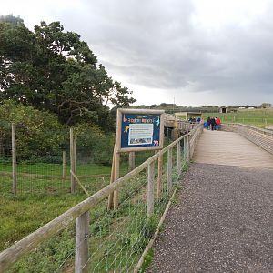 View towards Barbary macaque enclosure 130925