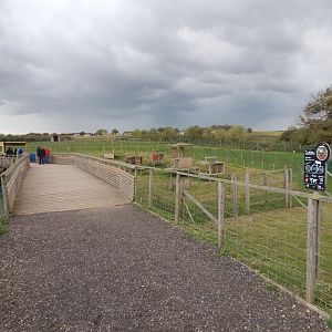 Barbary macaque enclosure 130925