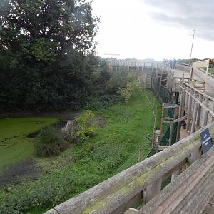 Barbary macaque enclosure 130925