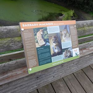 Barbary macaque enclosure signage 130925