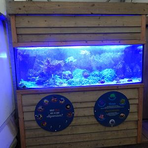Reptile House - Aquarium display 130925