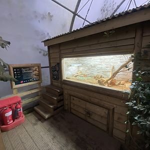 Reptile House - Desert exhibit 130925