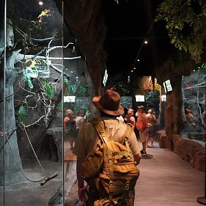 Jul. 2025 - Daytona Aquarium & Rainforest Adventure - Rainforest