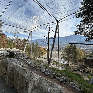 Walkthrough Vulture Aviary