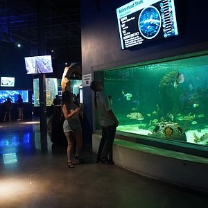 Jul. 2025 - Daytona Aquarium & Rainforest Adventure - Shark Reef