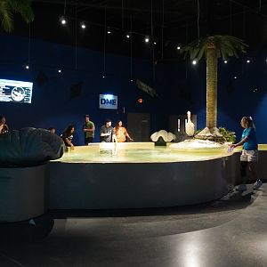 Jul. 2025 - Daytona Aquarium & Rainforest Adventure - Ray Bay