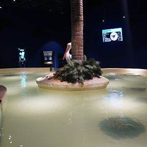 Jul. 2025 - Daytona Aquarium & Rainforest Adventure - Ray Bay