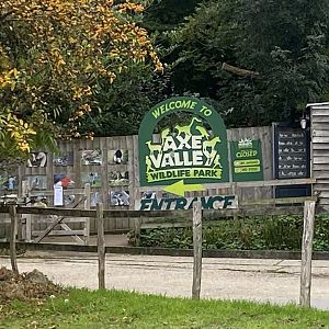 Last time looking at the entrance 101025